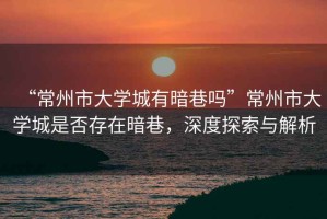 “常州市大學城有暗巷嗎”常州市大學城是否存在暗巷，深度探索與解析