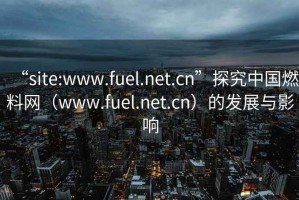 “site:www.fuel.net.cn”探究中國燃料網(wǎng)（www.fuel.net.cn）的發(fā)展與影響