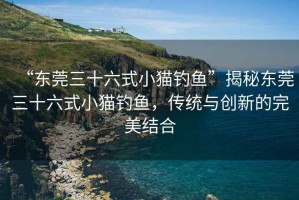 “東莞三十六式小貓釣魚”揭秘東莞三十六式小貓釣魚，傳統(tǒng)與創(chuàng)新的完美結(jié)合