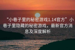 “小巷子里的秘密游戲1.14官方”小巷子里隱藏的秘密游戲，最新官方消息及深度解析