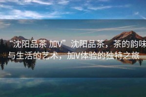 “沈陽品茶 加V”沈陽品茶，茶的韻味與生活的藝術(shù)，加V體驗的獨(dú)特之旅