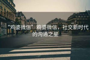 “雞婆微信”雞婆微信，社交新時(shí)代的溝通之星