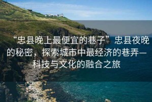 “忠縣晚上最便宜的巷子”忠縣夜晚的秘密，探索城市中最經(jīng)濟(jì)的巷弄—科技與文化的融合之旅