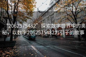“2062575482”探索數字世界中的奧秘，以數字2062575482為引子的故事