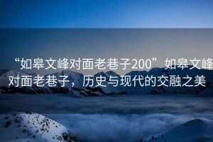 “如皋文峰對面老巷子200”如皋文峰對面老巷子，歷史與現(xiàn)代的交融之美