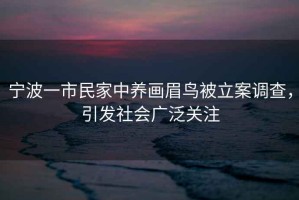寧波一市民家中養(yǎng)畫眉鳥被立案調(diào)查，引發(fā)社會廣泛關(guān)注