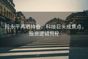 段永平再曬持倉，科技巨頭成焦點(diǎn)，投資邏輯揭秘