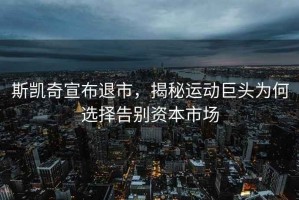 斯凱奇宣布退市，揭秘運動巨頭為何選擇告別資本市場