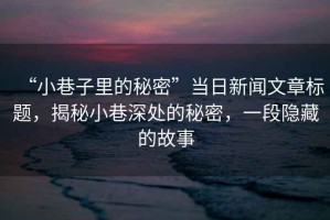 “小巷子里的秘密”當(dāng)日新聞文章標(biāo)題，揭秘小巷深處的秘密，一段隱藏的故事