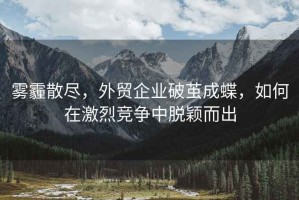 霧霾散盡，外貿(mào)企業(yè)破繭成蝶，如何在激烈競(jìng)爭(zhēng)中脫穎而出