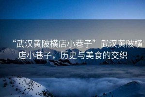 “武漢黃陂橫店小巷子”武漢黃陂橫店小巷子，歷史與美食的交織
