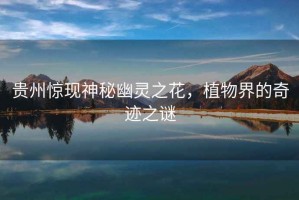 貴州驚現(xiàn)神秘幽靈之花，植物界的奇跡之謎