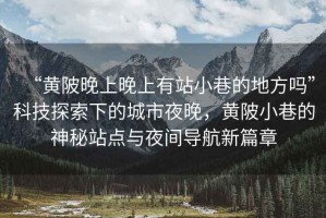 “黃陂晚上晚上有站小巷的地方嗎”科技探索下的城市夜晚，黃陂小巷的神秘站點與夜間導(dǎo)航新篇章