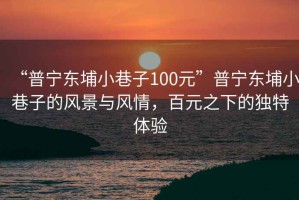 “普寧東埔小巷子100元”普寧東埔小巷子的風(fēng)景與風(fēng)情，百元之下的獨特體驗