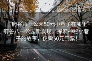 “府谷八一公園50元小巷子在哪里”府谷八一公園新發(fā)現(xiàn)，探索神秘小巷子的故事，僅需50元門(mén)票！