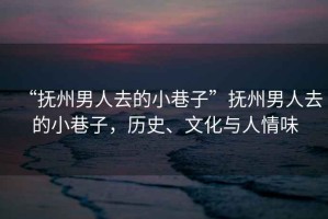 “撫州男人去的小巷子”撫州男人去的小巷子，歷史、文化與人情味
