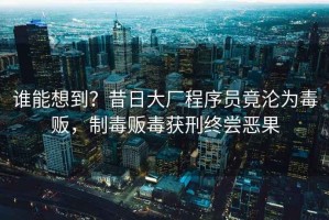 誰能想到？昔日大廠程序員竟淪為毒販，制毒販毒獲刑終嘗惡果