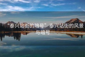 “泰興站街的暗號”泰興站街的風景與暗號