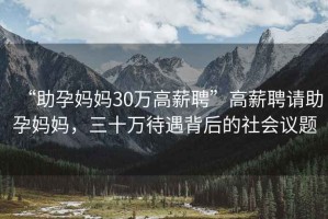 “助孕媽媽30萬高薪聘”高薪聘請(qǐng)助孕媽媽，三十萬待遇背后的社會(huì)議題