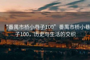 “番禺市橋小巷子100”番禺市橋小巷子100，歷史與生活的交織