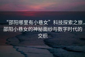 “邵陽哪里有小巷女”科技探索之旅，邵陽小巷女的神秘面紗與數(shù)字時代的交織