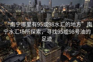 “南寧哪里有95或98水匯的地方”南寧水匯場所探索，尋找95或98號油的足跡