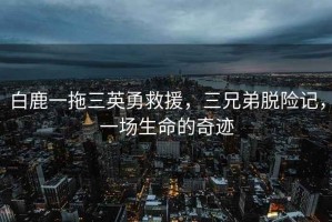 白鹿一拖三英勇救援，三兄弟脫險(xiǎn)記，一場生命的奇跡