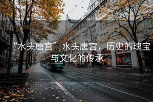 “水頭唐宮”水頭唐宮，歷史的瑰寶與文化的傳承