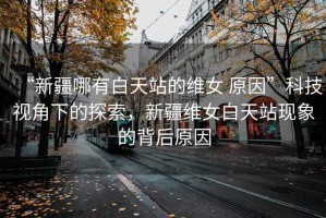 “新疆哪有白天站的維女 原因”科技視角下的探索，新疆維女白天站現(xiàn)象的背后原因