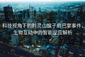 科技視角下的黔靈山猴子扇巴掌事件，生物互動中的智能反應(yīng)解析