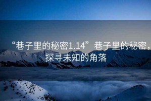 “巷子里的秘密1.14”巷子里的秘密，探尋未知的角落