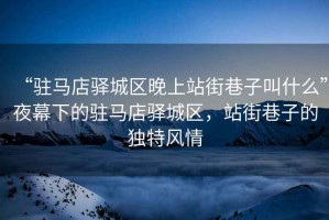 “駐馬店驛城區(qū)晚上站街巷子叫什么”夜幕下的駐馬店驛城區(qū)，站街巷子的獨特風(fēng)情