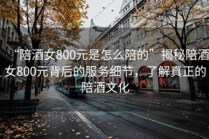 “陪酒女800元是怎么陪的”揭秘陪酒女800元背后的服務(wù)細(xì)節(jié)，了解真正的陪酒文化
