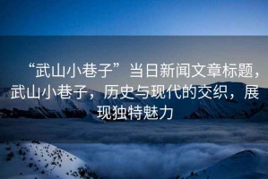 “武山小巷子”當日新聞文章標題，武山小巷子，歷史與現代的交織，展現獨特魅力