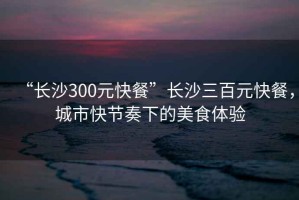 “長(zhǎng)沙300元快餐”長(zhǎng)沙三百元快餐，城市快節(jié)奏下的美食體驗(yàn)