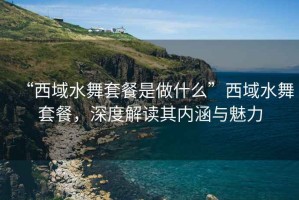 “西域水舞套餐是做什么”西域水舞套餐，深度解讀其內(nèi)涵與魅力