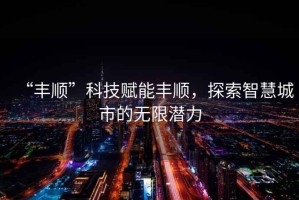 “豐順”科技賦能豐順，探索智慧城市的無(wú)限潛力