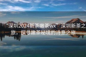 “深圳2024新茶嫩茶wx”深圳新茶之旅，探尋嫩茶秘境的詩(shī)意之旅