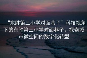 “東勝第三小學(xué)對(duì)面巷子”科技視角下的東勝第三小學(xué)對(duì)面巷子，探索城市微空間的數(shù)字化轉(zhuǎn)型
