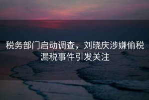 稅務(wù)部門(mén)啟動(dòng)調(diào)查，劉曉慶涉嫌偷稅漏稅事件引發(fā)關(guān)注