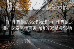 “廣州靠譜的95場98場”廣州靠譜之選，探索高端商務(wù)場所的95場與98場