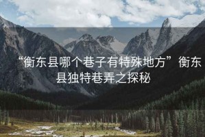 “衡東縣哪個巷子有特殊地方”衡東縣獨(dú)特巷弄之探秘