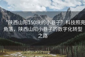 “陜西山陽150塊的小巷子”科技照亮角落，陜西山陽小巷子的數(shù)字化轉(zhuǎn)型之路