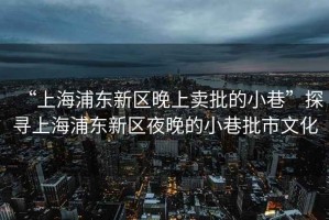 “上海浦東新區(qū)晚上賣批的小巷”探尋上海浦東新區(qū)夜晚的小巷批市文化