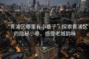 “青浦區(qū)哪里有小巷子”探索青浦區(qū)的隱秘小巷，感受老城韻味