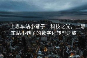 “上思車站小巷子”科技之光，上思車站小巷子的數(shù)字化轉(zhuǎn)型之旅