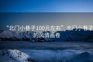 “北門小巷子100元左右”北門小巷子的風情畫卷