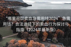 “哪里可以賣血急需用錢2024”急需用錢？合法途徑下的賣血行為探討與指南（2024年最新版）