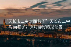“天長(zhǎng)市二中對(duì)面巷子”天長(zhǎng)市二中對(duì)面巷子，歲月靜好的見證者
