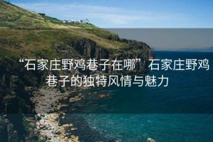 “石家莊野雞巷子在哪”石家莊野雞巷子的獨特風(fēng)情與魅力
